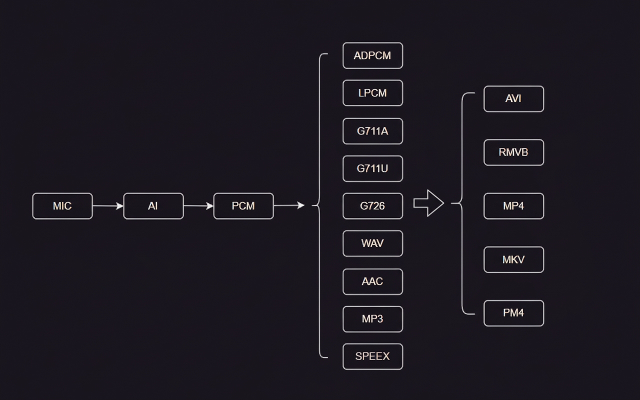 Embedded Audio Processing Workflow