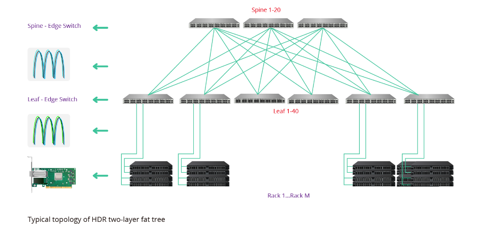 Port splitting from 200G to 2x100G