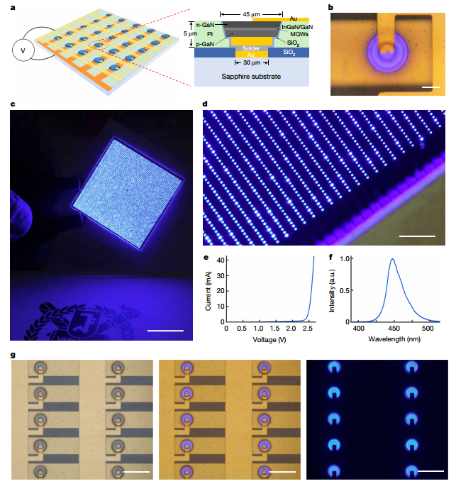High-Yield MicroLED Lighting Panel via Fluid Self-Assembly