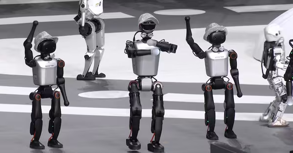 Why Build Humanoid Robots?