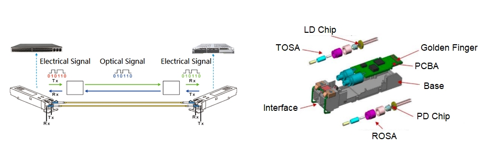 AI-driven Changes in Optical Modules