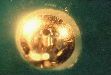 solder joint fatigue